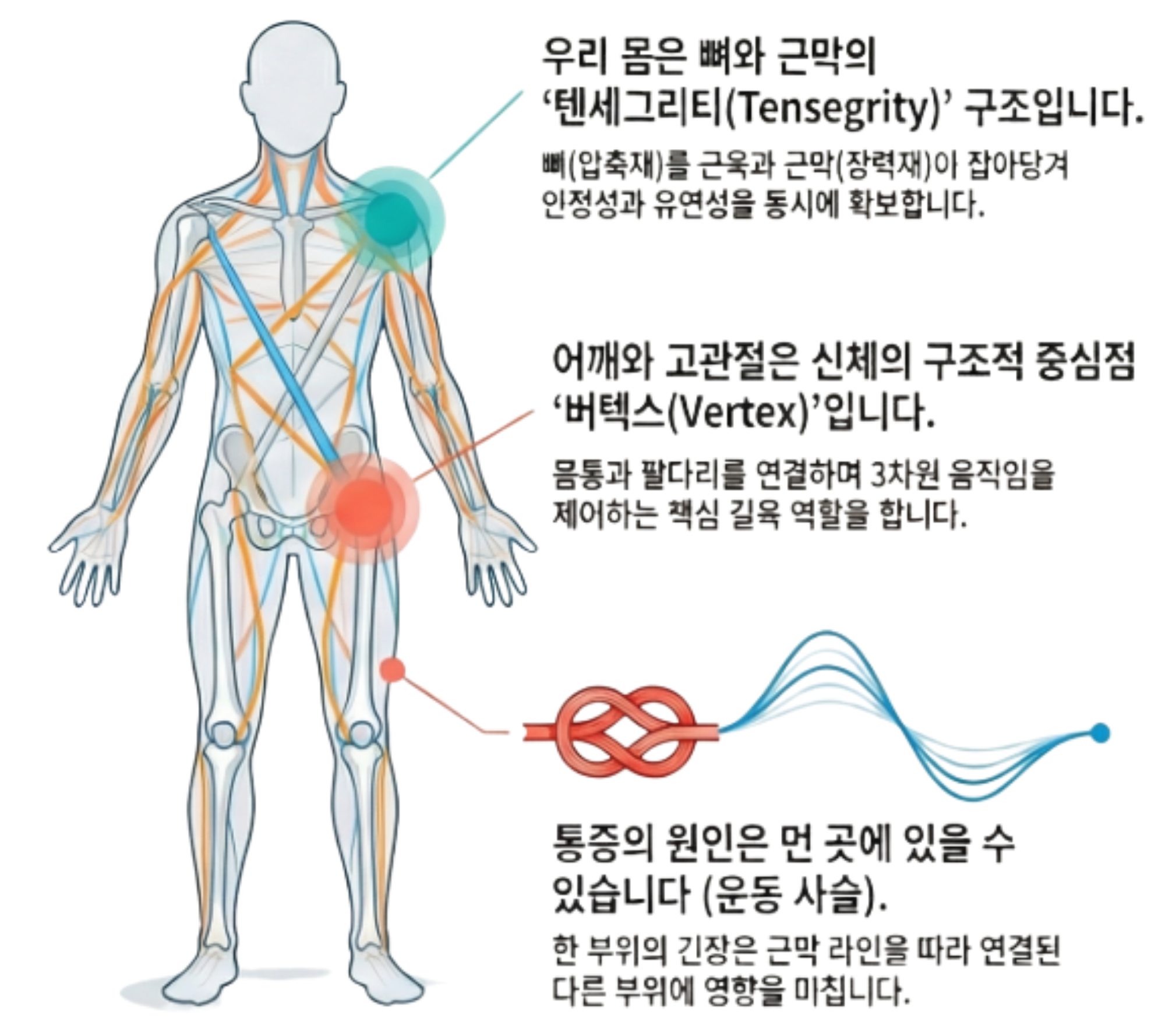 VST 침술 얼바인